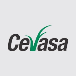 Cevasa